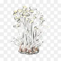 手绘金针菇-空若网 手绘金针菇-空若网