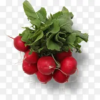 新鲜蔬菜小红萝卜-空若网 新鲜蔬菜小红萝卜-空若网