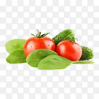 绿色蔬菜-空若网 绿色蔬菜-空若网