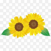 ���տ�ͨС����װ�β廭������-������