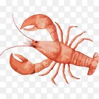 手绘虾素材-空若网 手绘虾素材-空若网