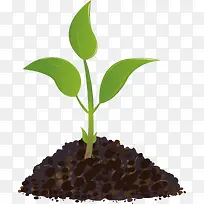 嫩芽png矢量素材-空若网 嫩芽png矢量素材-空若网