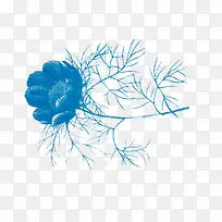 ��ɫ���ز�-������