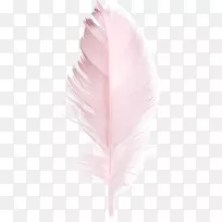 羽毛下载粉红色鸭-粉红色羽毛-空若网 羽毛下载粉红色鸭-粉红色羽毛-空若网