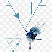 Èý½ÇÐμ¸ºÎСÄñ±ß¿ò×°ÊÎ-¿ÕÈôÍø Èý½ÇÐμ¸ºÎСÄñ±ß¿ò×°ÊÎ-¿ÕÈôÍø