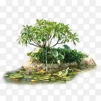 Ô°ÁÖÊ÷Ä¾ËØ²Ä-¿ÕÈôÍø Ô°ÁÖÊ÷Ä¾ËØ²Ä-¿ÕÈôÍø