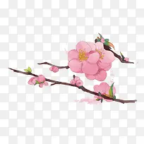 海棠树枝-空若网 海棠树枝-空若网