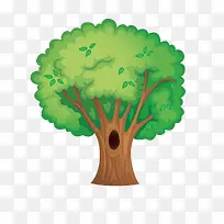 绿树上的树洞-空若网 绿树上的树洞-空若网