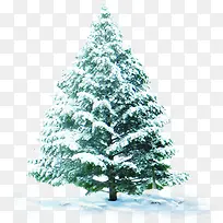 ������Ӱ��ɫ����������-������