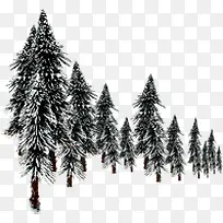 创意摄影造型黑色松树-空若网 创意摄影造型黑色松树-空若网