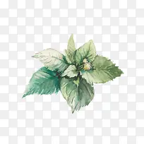 手绘水彩素材-空若网 手绘水彩素材-空若网