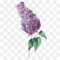 水彩花卉元素气泡-空若网 水彩花卉元素气泡-空若网