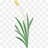 小草剪影小草边框-空若网 小草剪影小草边框-空若网