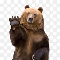 ���ֵĹ���-������