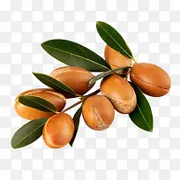 阿甘果-空若网 阿甘果-空若网