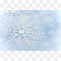 ��ɫѩ������-������