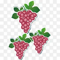 葡萄标签-空若网 葡萄标签-空若网