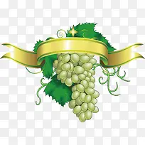 ��ͨ�ֻ����ѱ�ʶʸ��Ԫ��-������