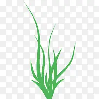 小草异形牌俯瞰小草-空若网 小草异形牌俯瞰小草-空若网