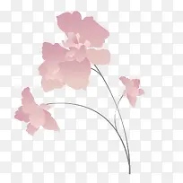 ʸ����Լ�����ز�-������