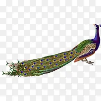 �����ȸ-������