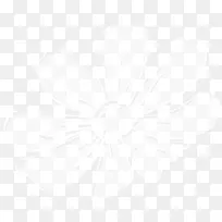 ��ɫ���仨��-������