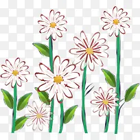 ��ɫ�ջ�-������