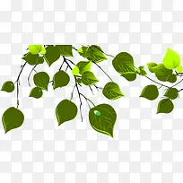 ������֦����ʸ���ز�-������