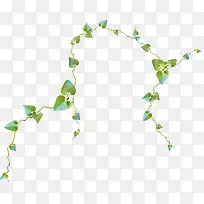 �ٲ�-������