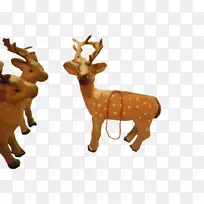 ѱ¹¹�ǵ���½������ѱ¹-������