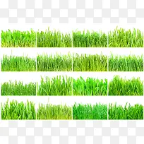 �����̲���Ӱ-������