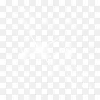 白色星光-空若网 白色星光-空若网