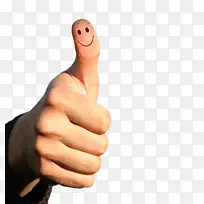 Ц��������ָ-������