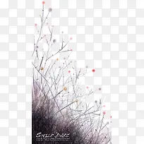 ����ֲ��ͼ��-������