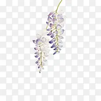 �ֻ����ٻ�-������