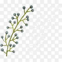 小清新果子植物插画素材-空若网 小清新果子植物插画素材-空若网