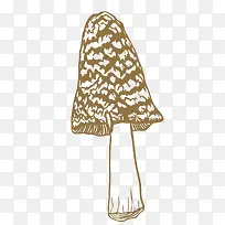 ��ͨ��Ǿ�����ز�-������