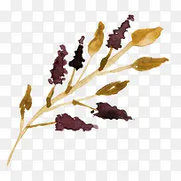 枯叶-空若网 枯叶-空若网