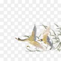 չ��������ͼƬ-������