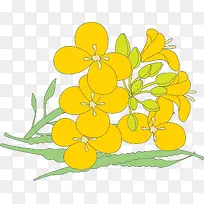 橙色矢量迷你花朵油菜花-空若网 橙色矢量迷你花朵油菜花-空若网