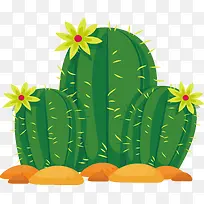 黄色花朵仙人掌-空若网 黄色花朵仙人掌-空若网