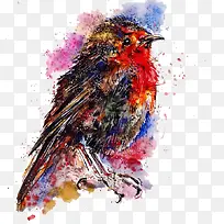 创意彩绘小鸟-空若网 创意彩绘小鸟-空若网