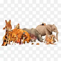 可爱野生动物集合装饰图案-空若网 可爱野生动物集合装饰图案-空若网