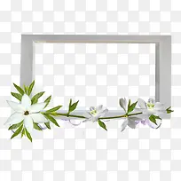 花卉素材唯美花卉图片-空若网 花卉素材唯美花卉图片-空若网