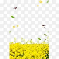 �������Ͳ˻�����߿�-������