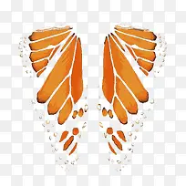 矢量橙色蝴蝶翅膀-空若网 矢量橙色蝴蝶翅膀-空若网