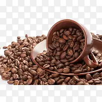 �������ⱳ��-������