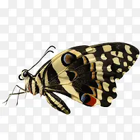 �������-������