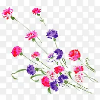 ��ͨ�ֻ��ɫ����-������