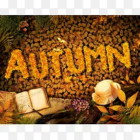 ¿§·ÈÓëÊé±¾Ê÷Ò¶±³¾°-¿ÕÈôÍø ¿§·ÈÓëÊé±¾Ê÷Ò¶±³¾°-¿ÕÈôÍø